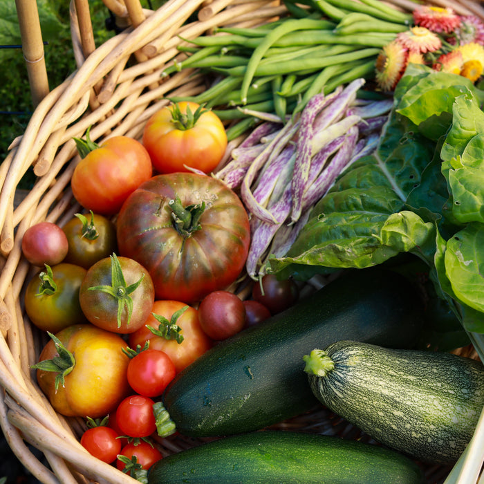9 Facts About Veggie Gardens - Arber