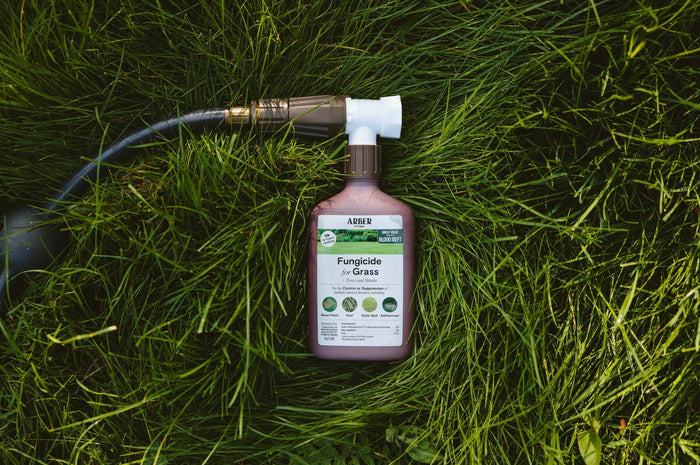 Fungicide for Lawn laying in lawn