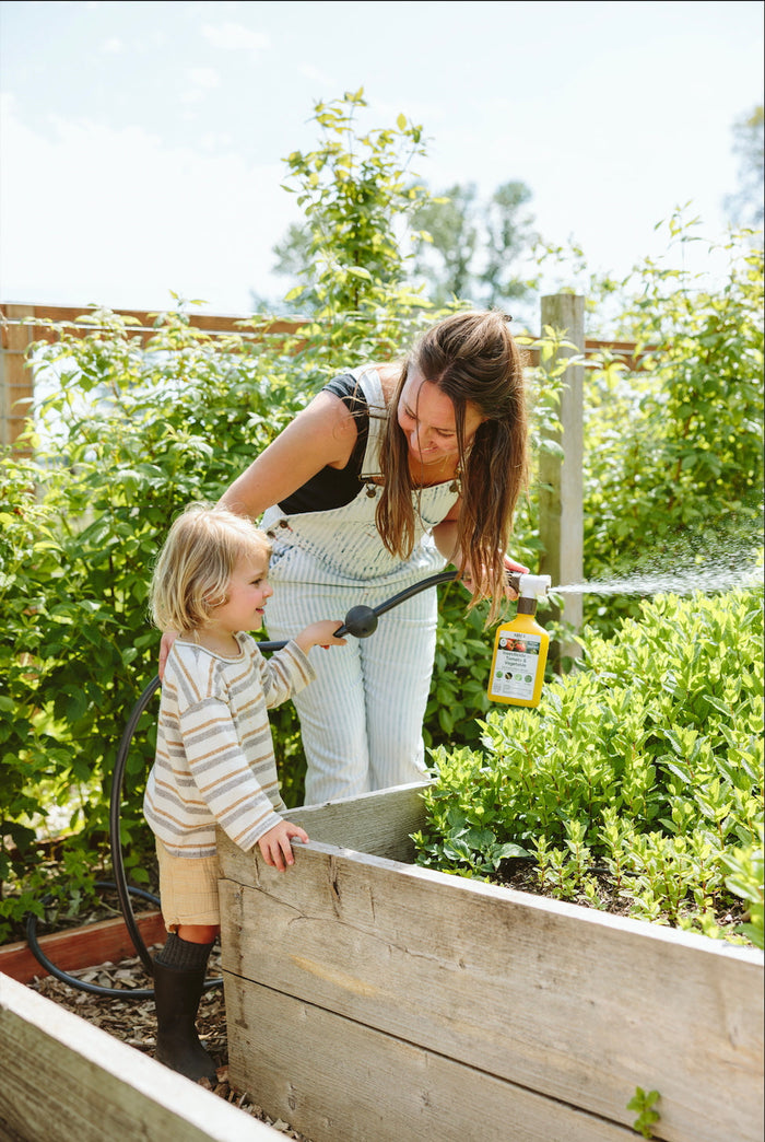 Spraying insecticide