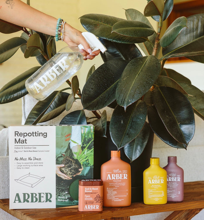 Houseplant Parent Bundle