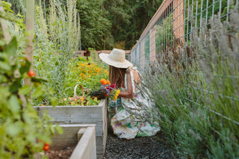 Woman harvesting vegetables, fruits, and flowers from raised garden bed