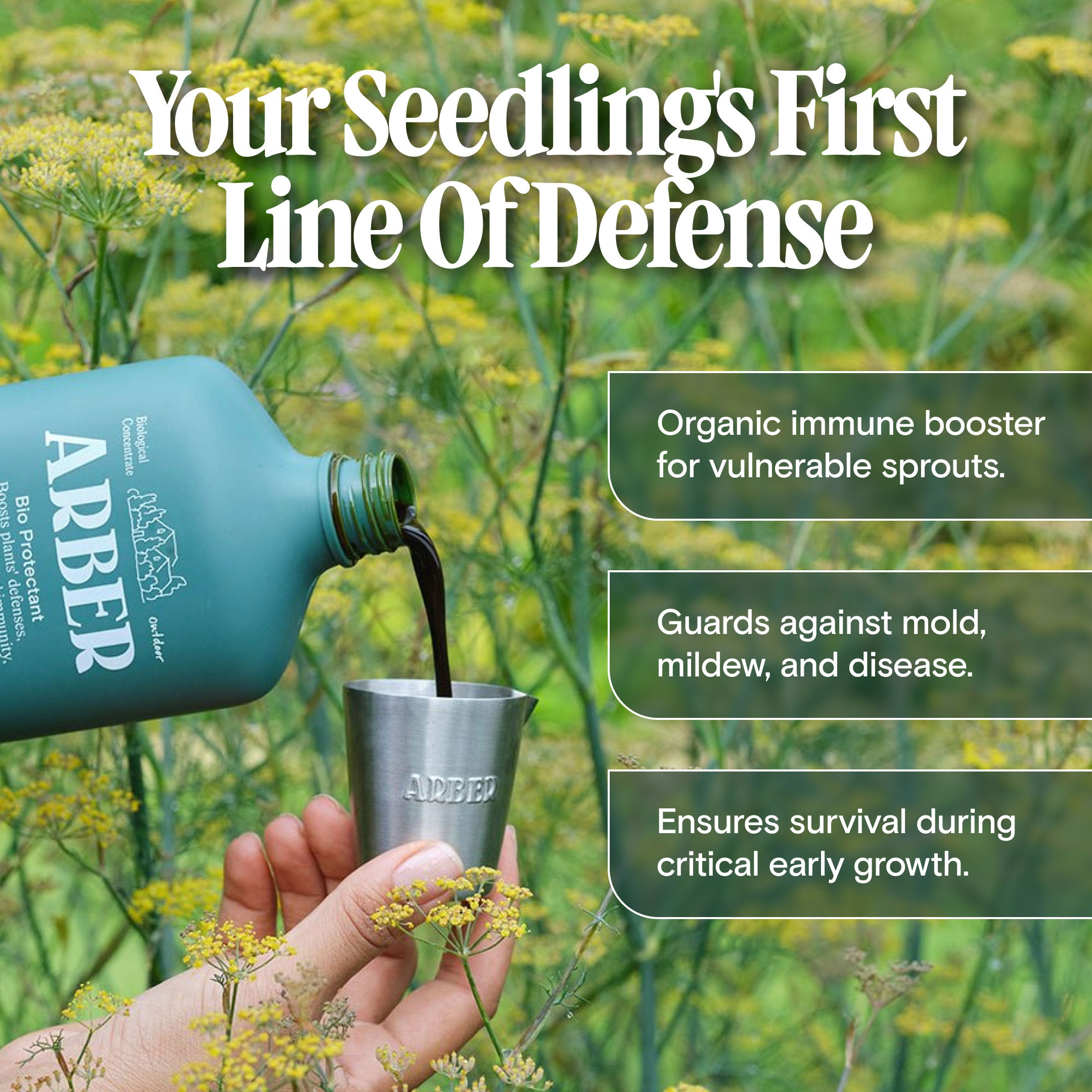 The Seed & Soil Foundation Kit