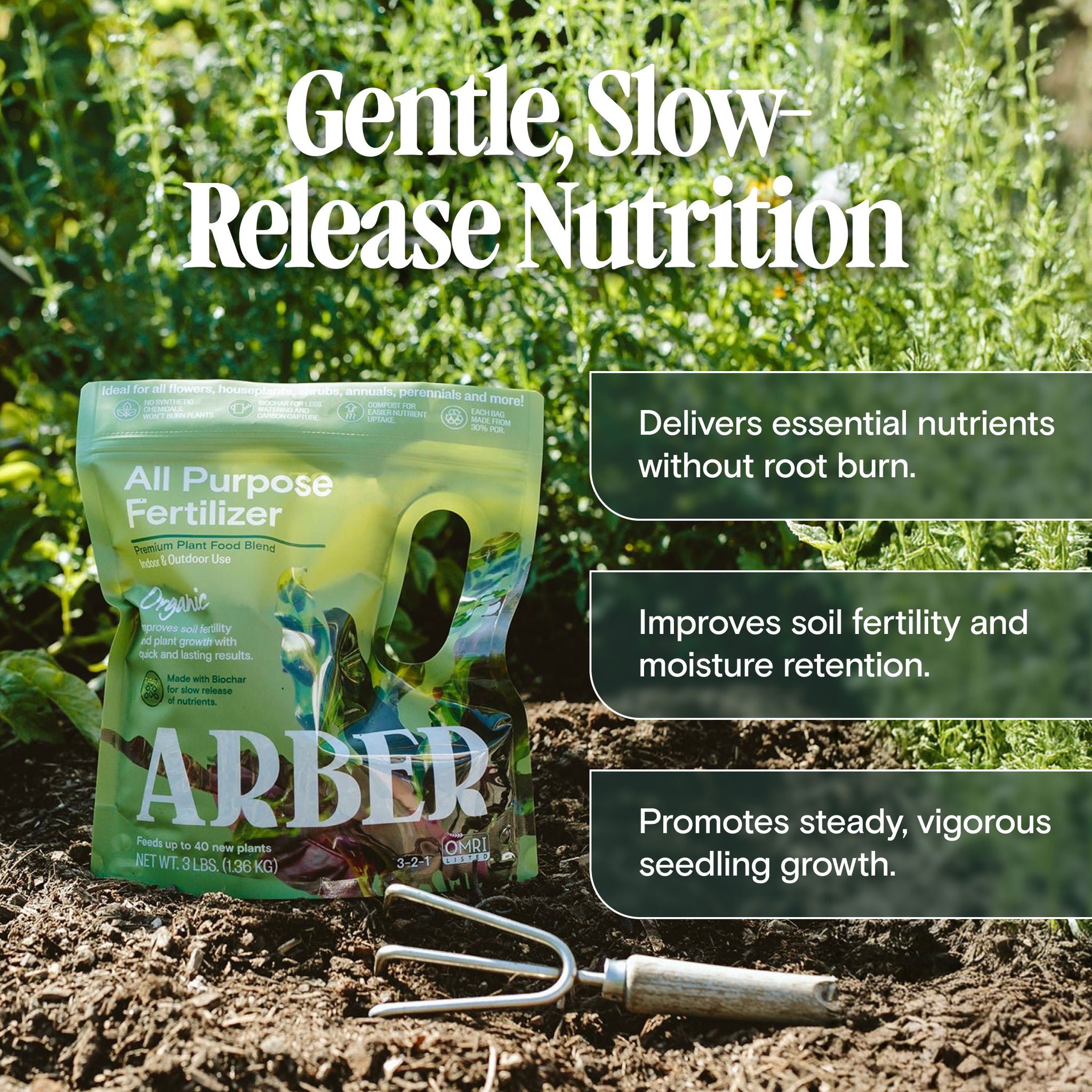 plant a seed foundation The Seed & Soil Foundation Kit – Arber