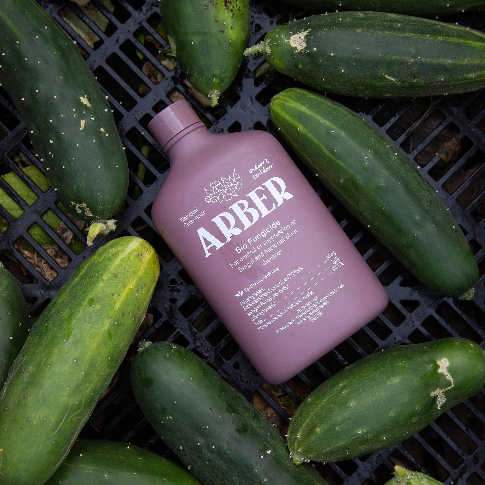 Fall Gardening Bundle