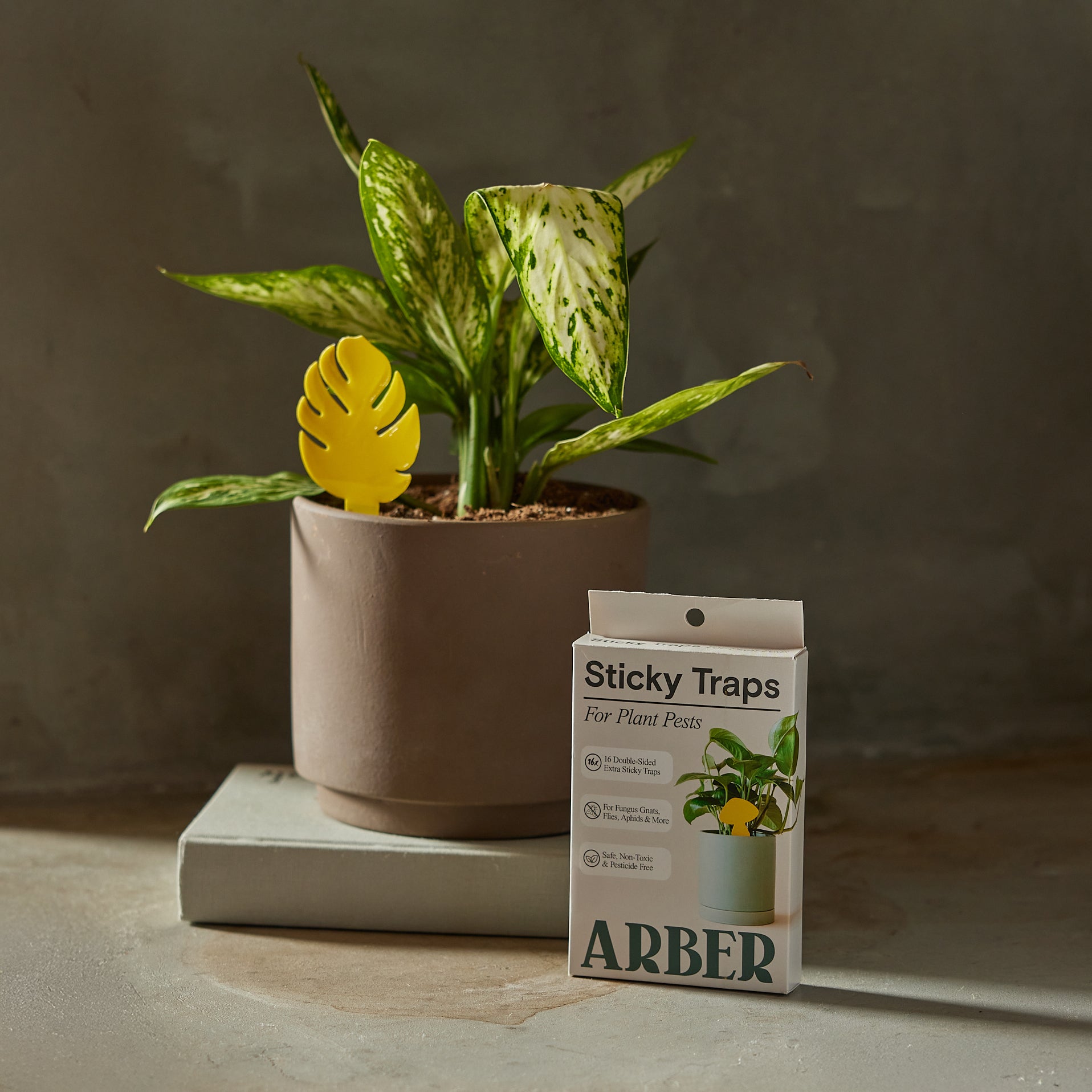 indoor plant gnat Fungus Gnat Fighter Bundle