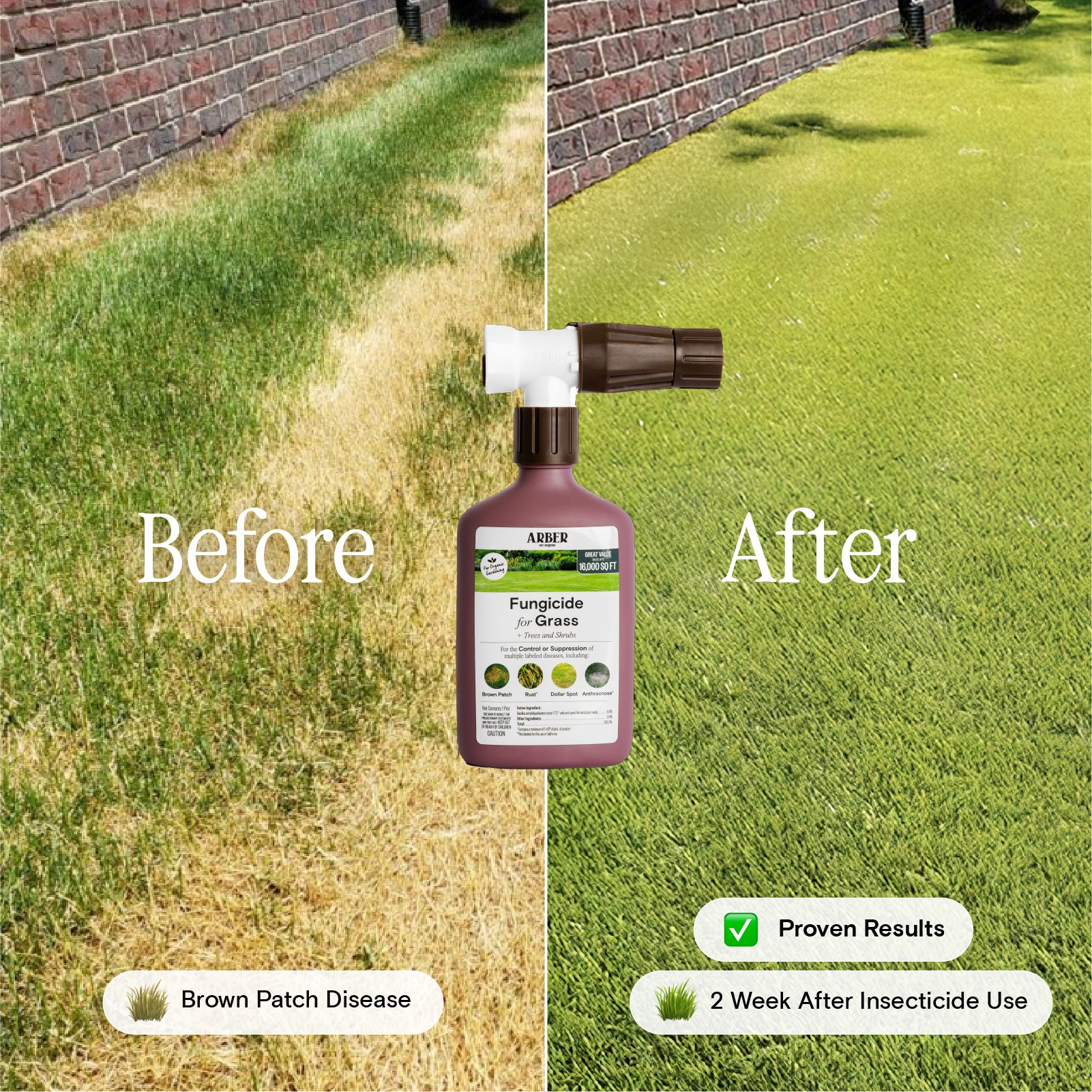 best indoor plant fungicide Organic Fungicide for Grass, Trees & Shrubs – Arber