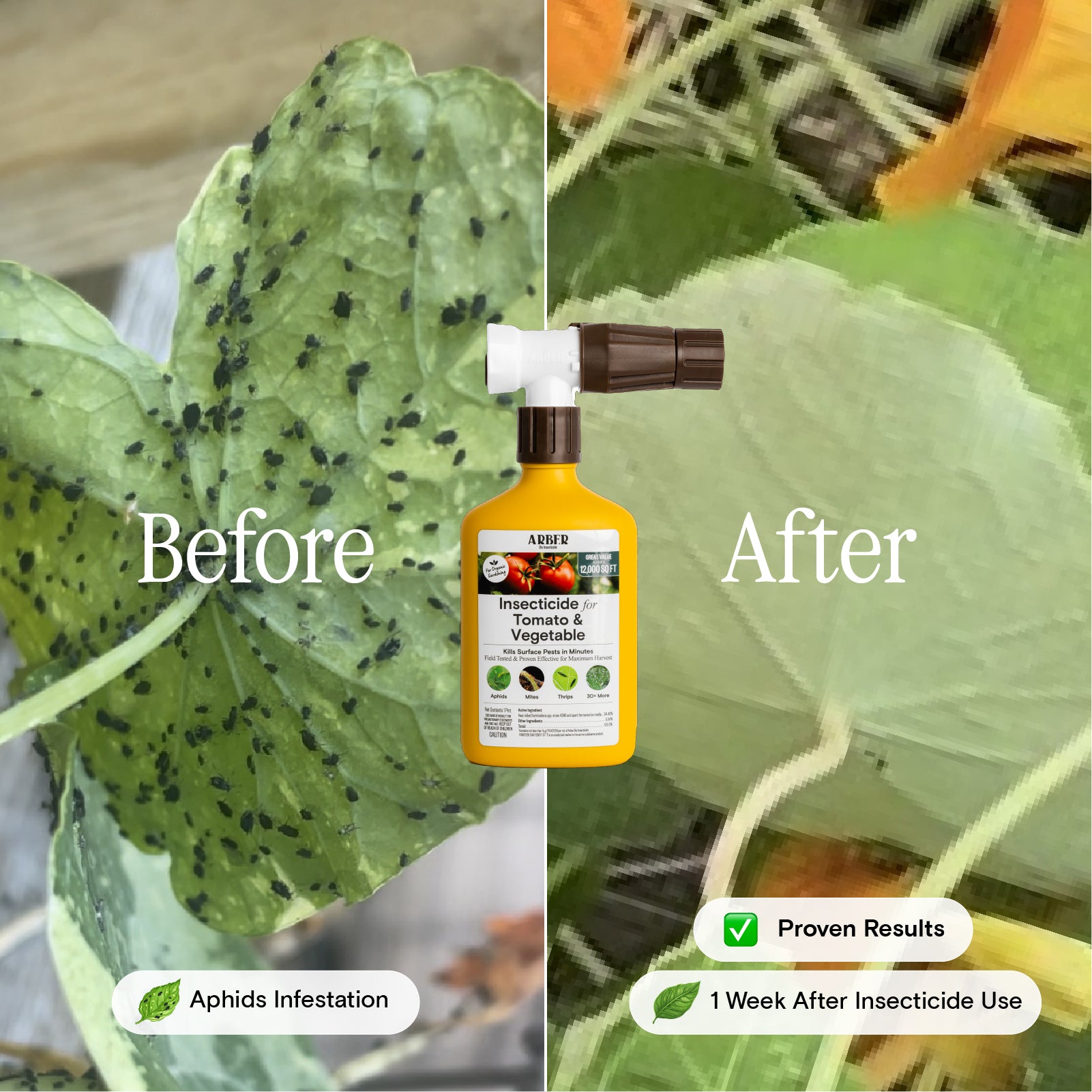 natural herbicide for tomatoes Organic Insecticide for Tomato & Vegetable
