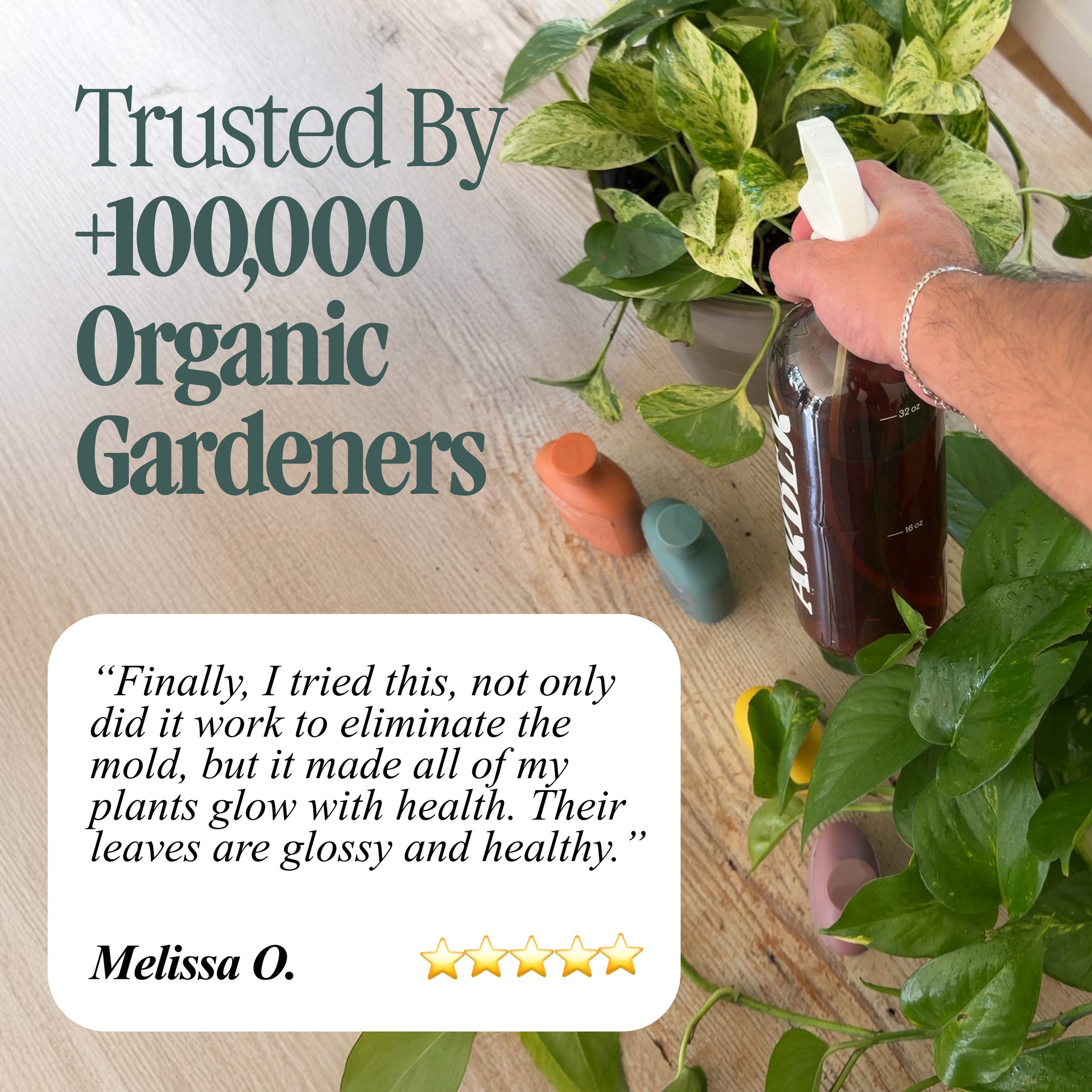 Organic Holistic Kit