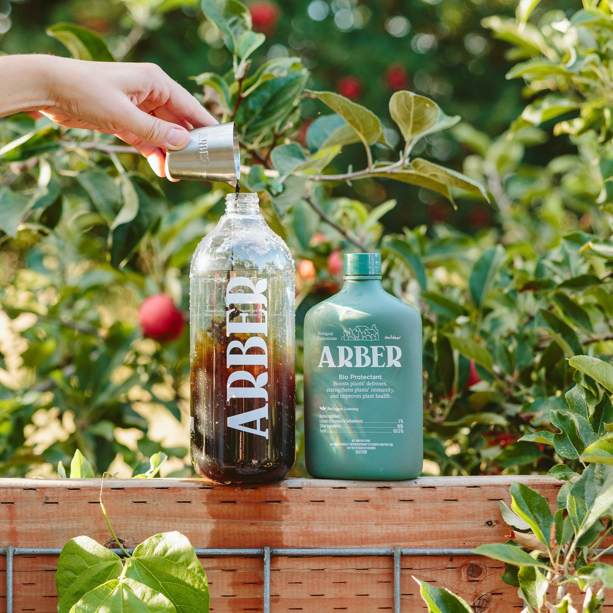 Powdery Mildew Treatment Kit