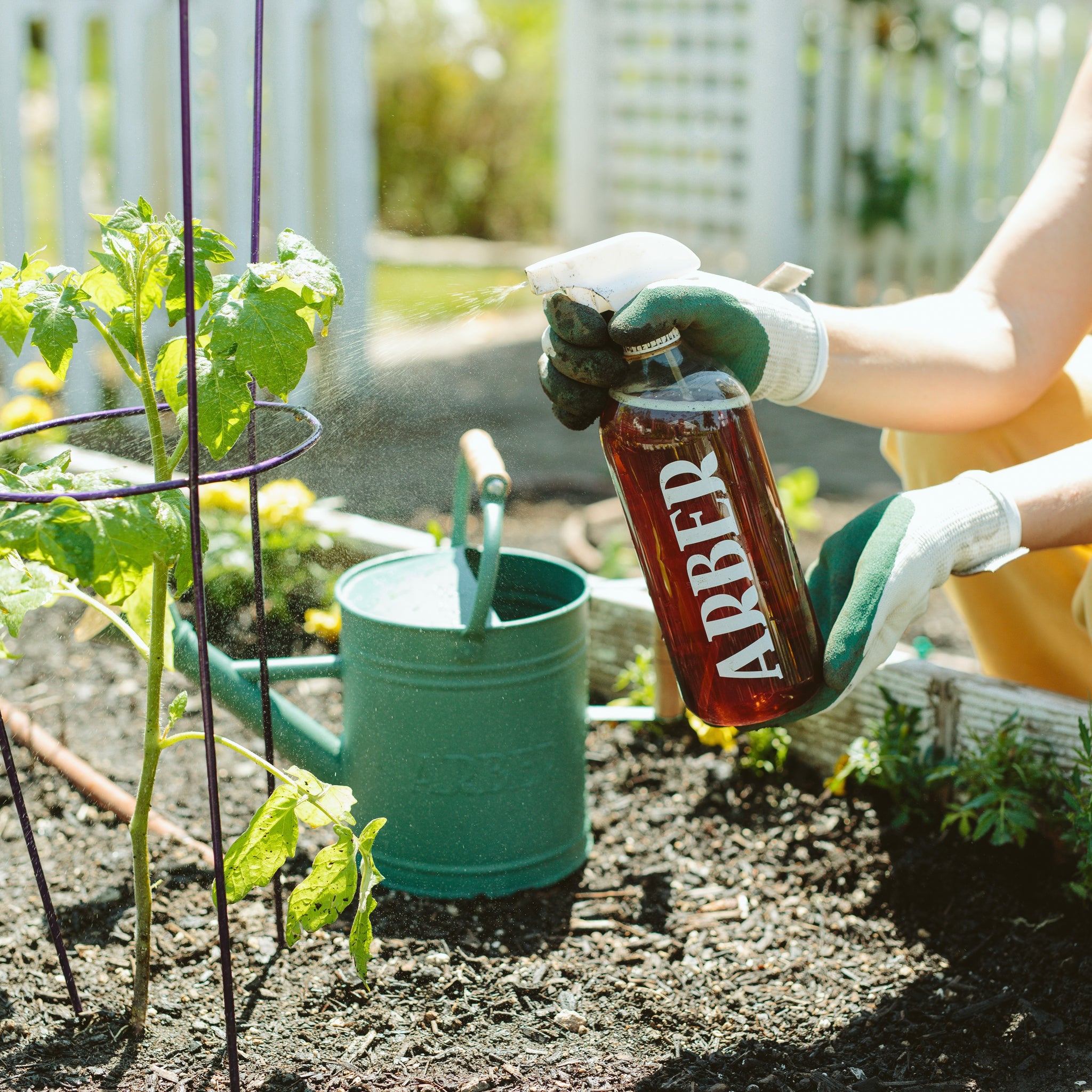 Powdery Mildew Treatment Kit