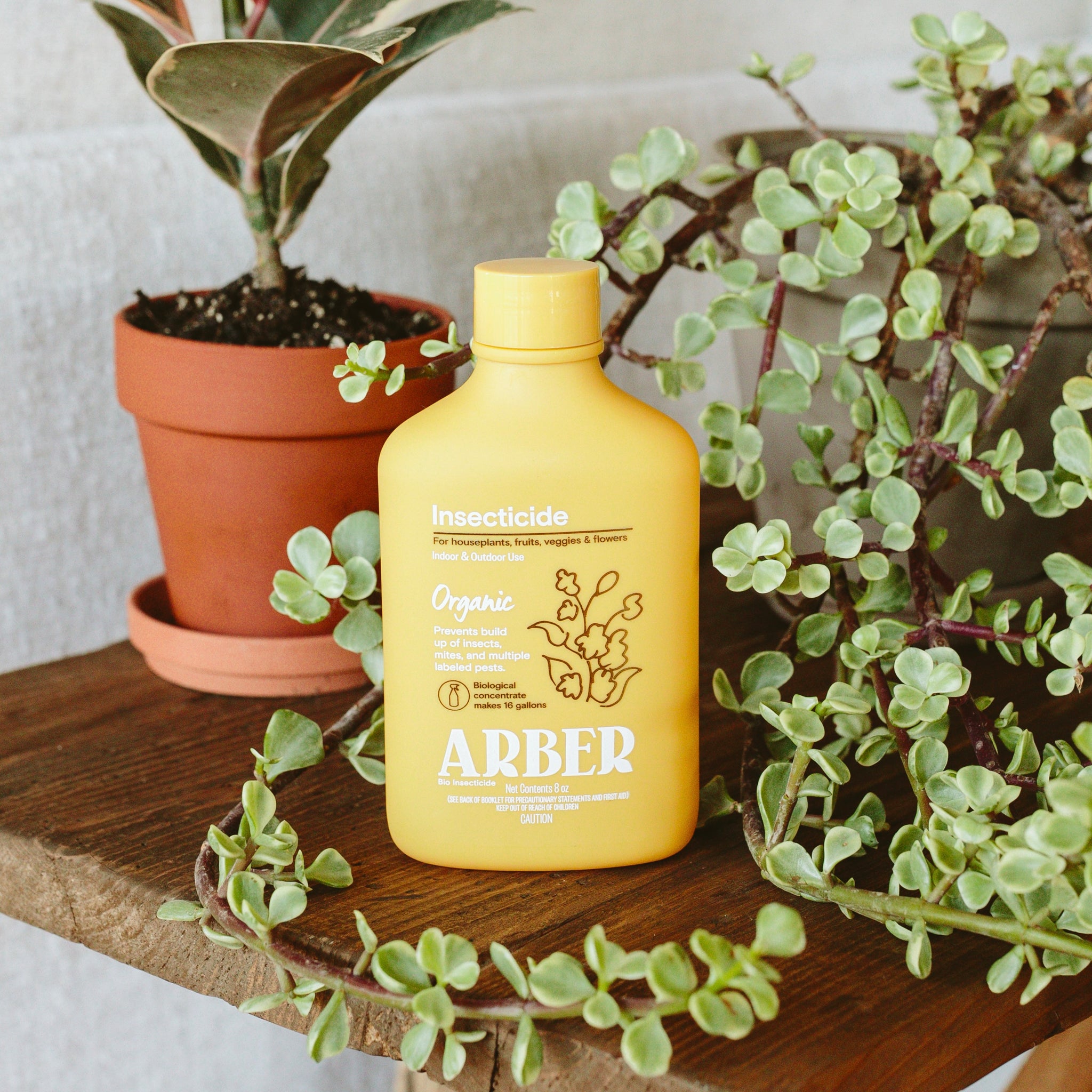 Arber × Soltech Indoor Plant Care Kit