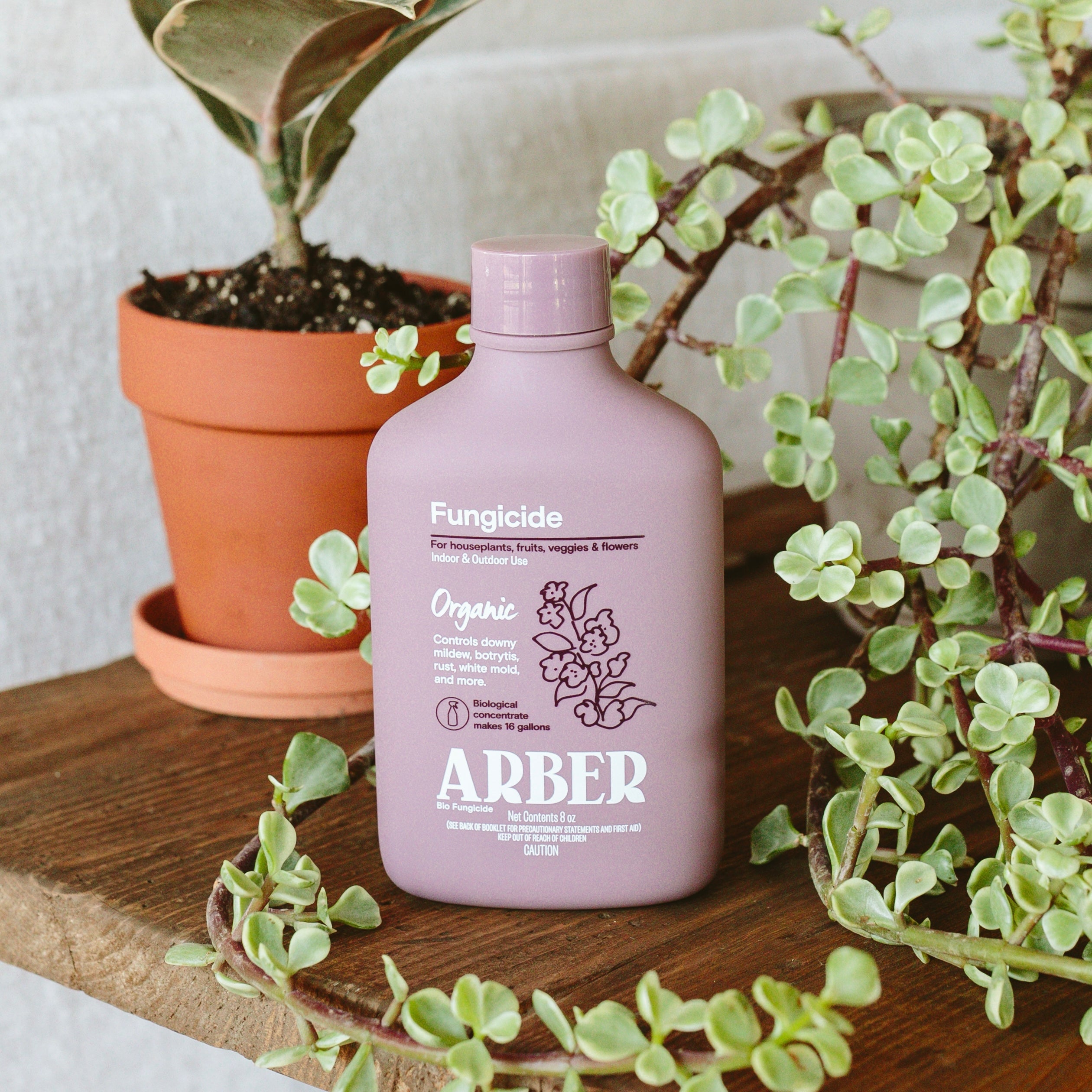 Arber × Soltech Indoor Plant Care Kit