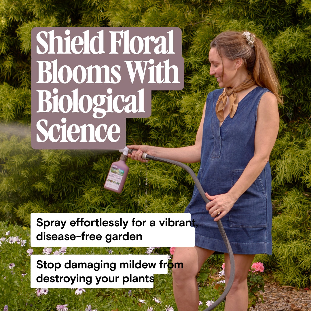 Rose & Flower Grow + Protect Kit