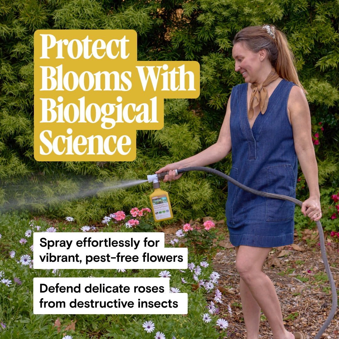 Rose & Flower Grow + Protect Kit