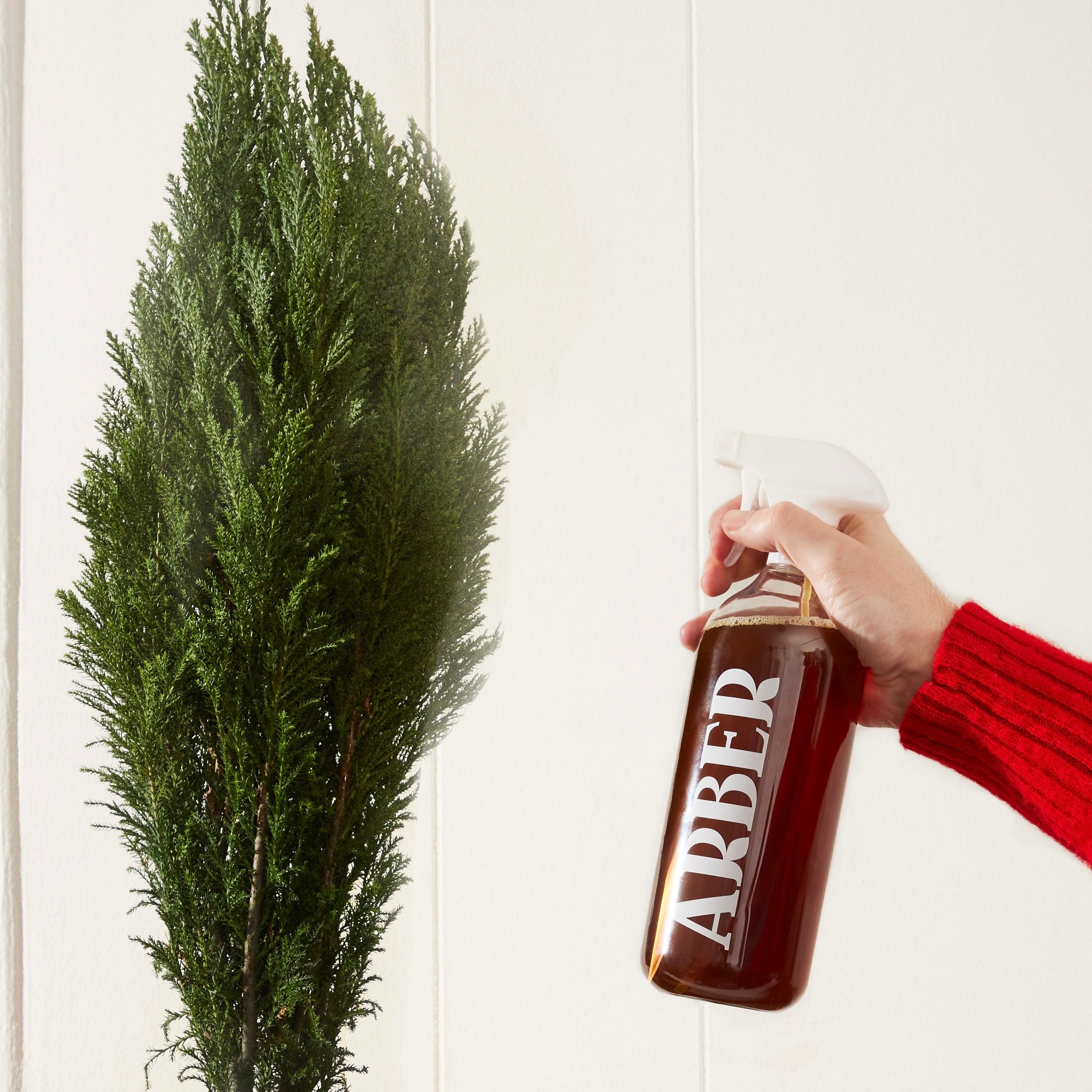 Christmas Tree Care Kit