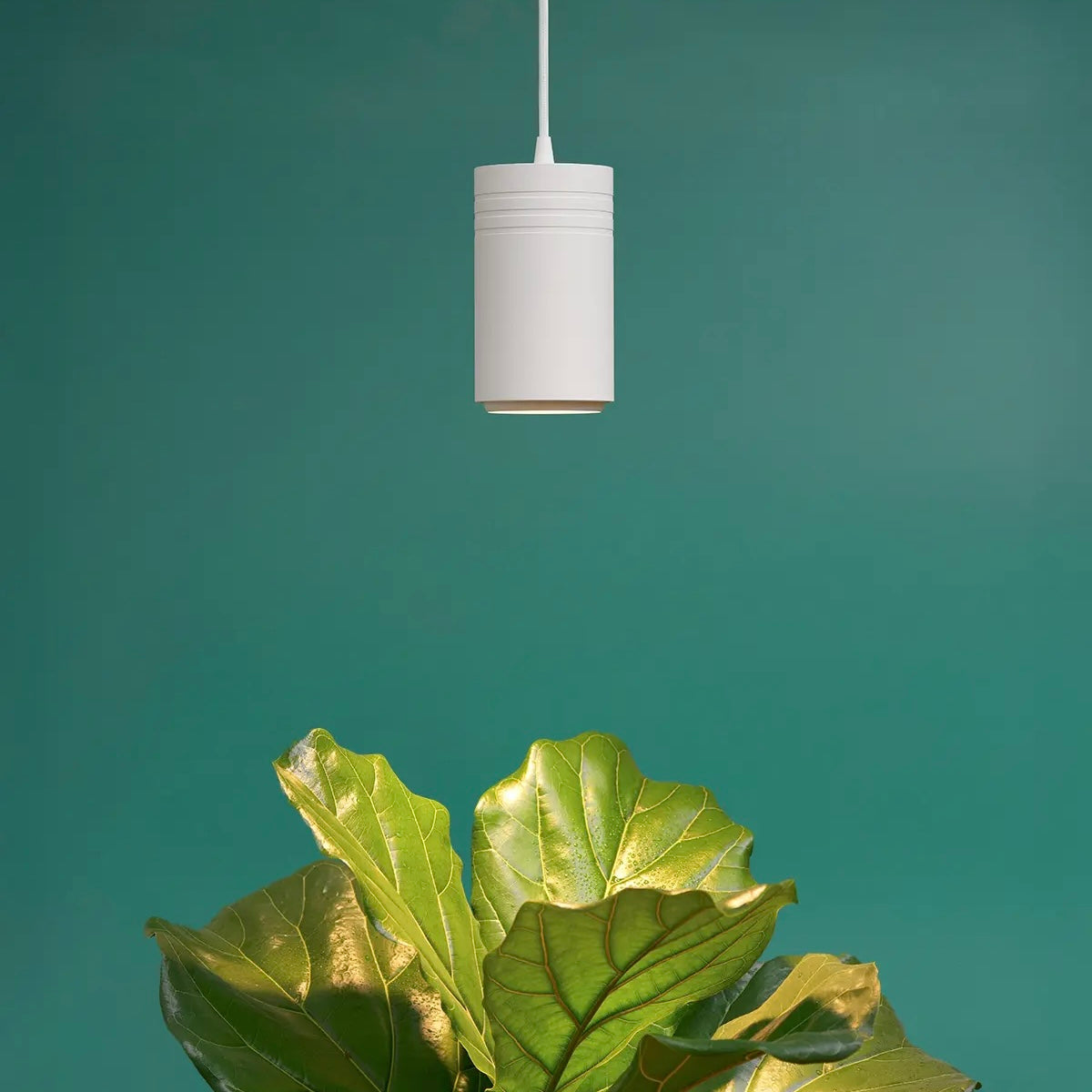 Arber × Soltech Indoor Plant Care Kit