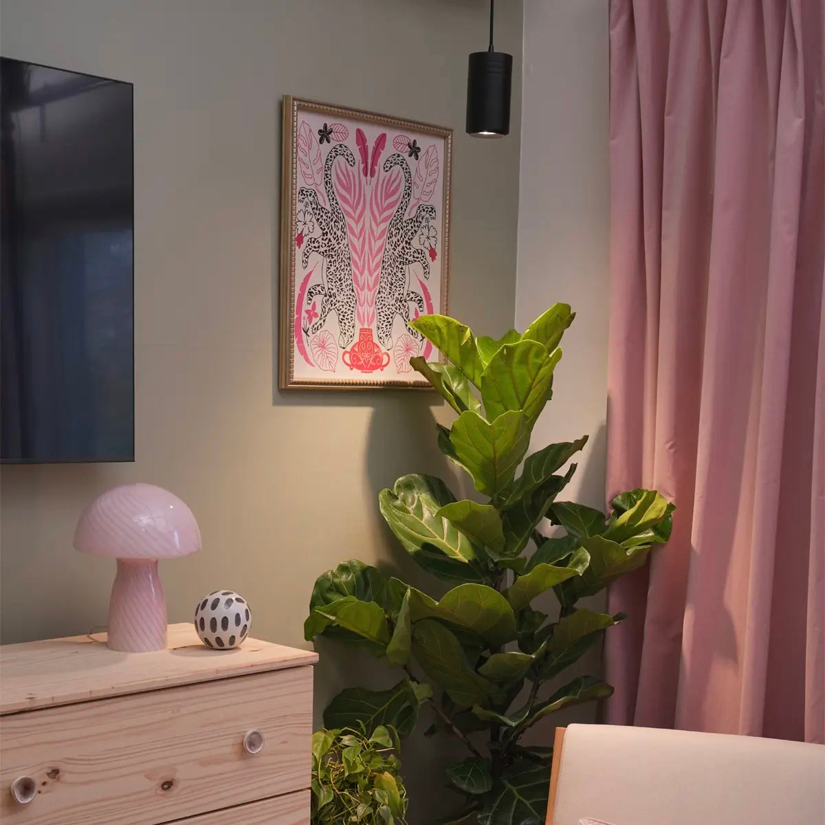 Arber × Soltech Indoor Plant Care Kit