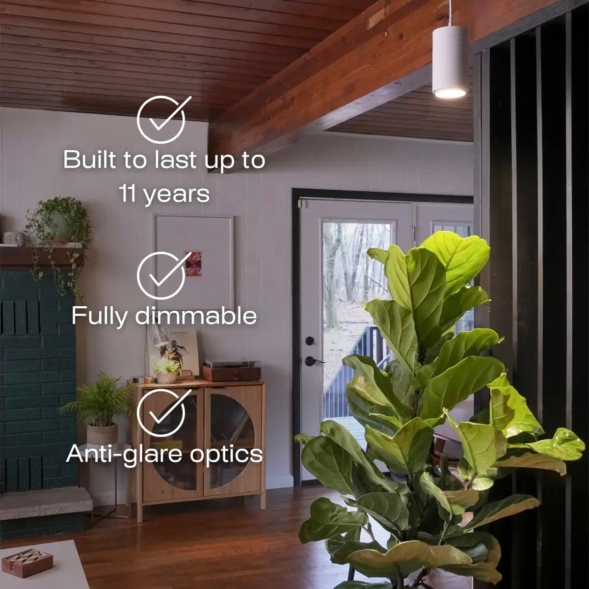 Arber × Soltech Indoor Plant Care Kit