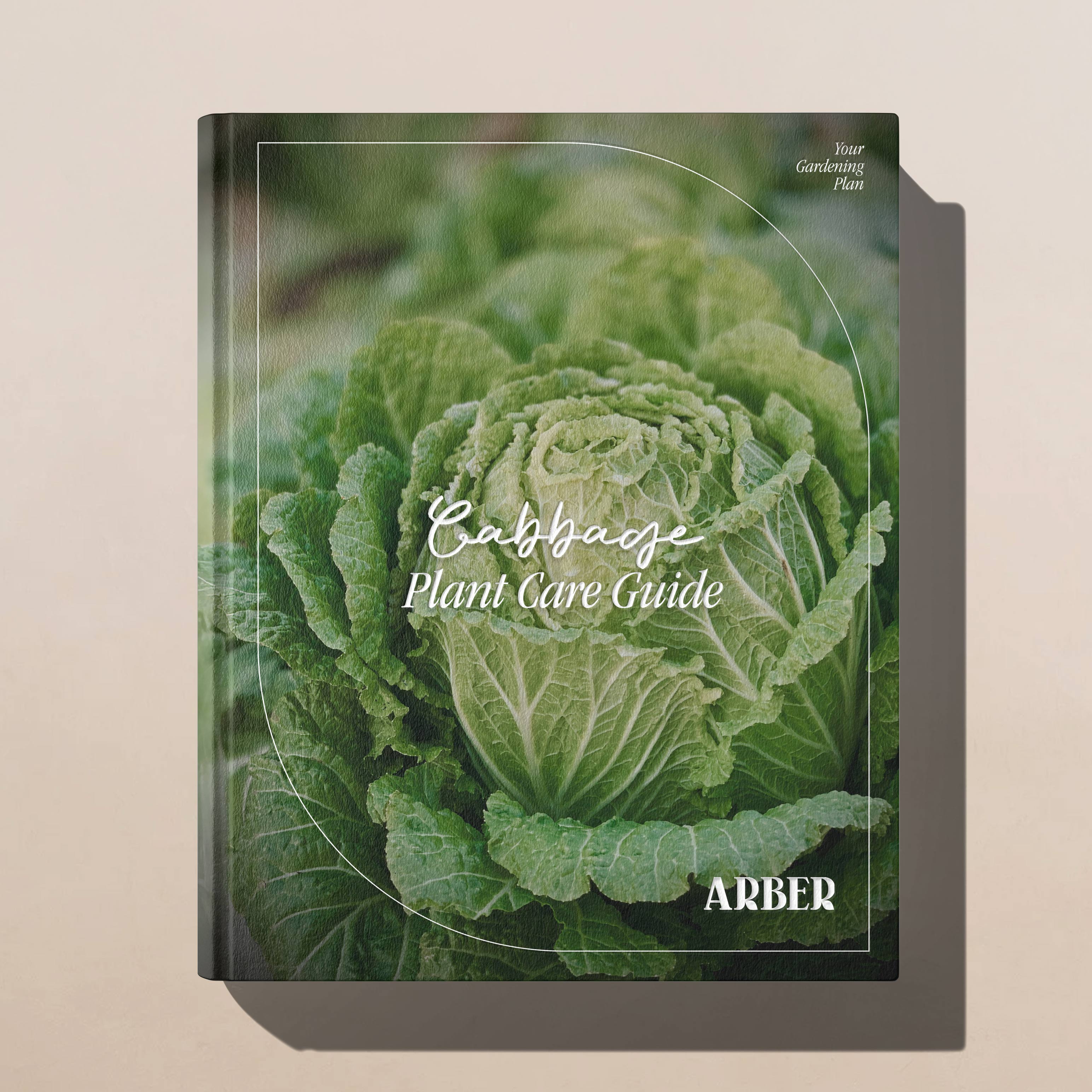 The Cabbage Plant Care Guide  | Free Resource