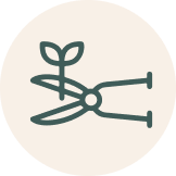 Safely harvest icon