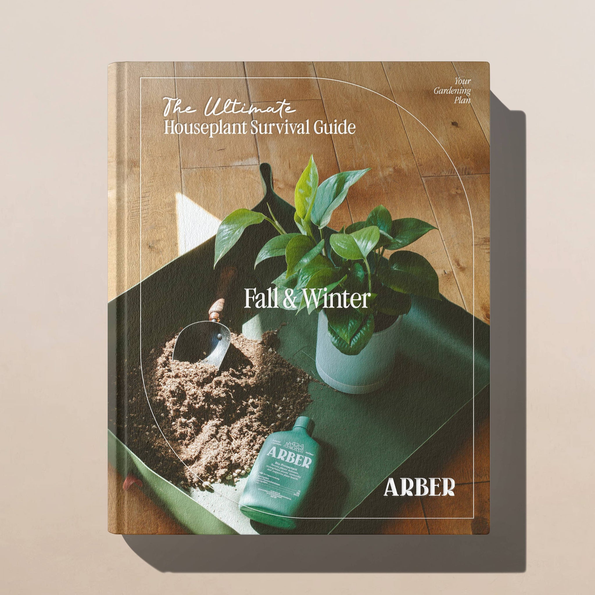 winter house plant care The Ultimate Houseplant Survival Guide | Fall & Winter