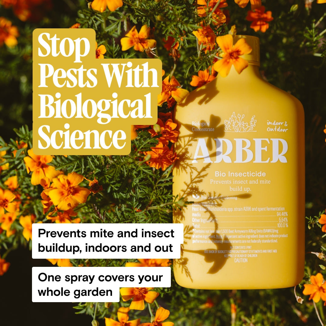 Pest Control Kit — Defeats Spider Mites, Aphids, Thrips & More