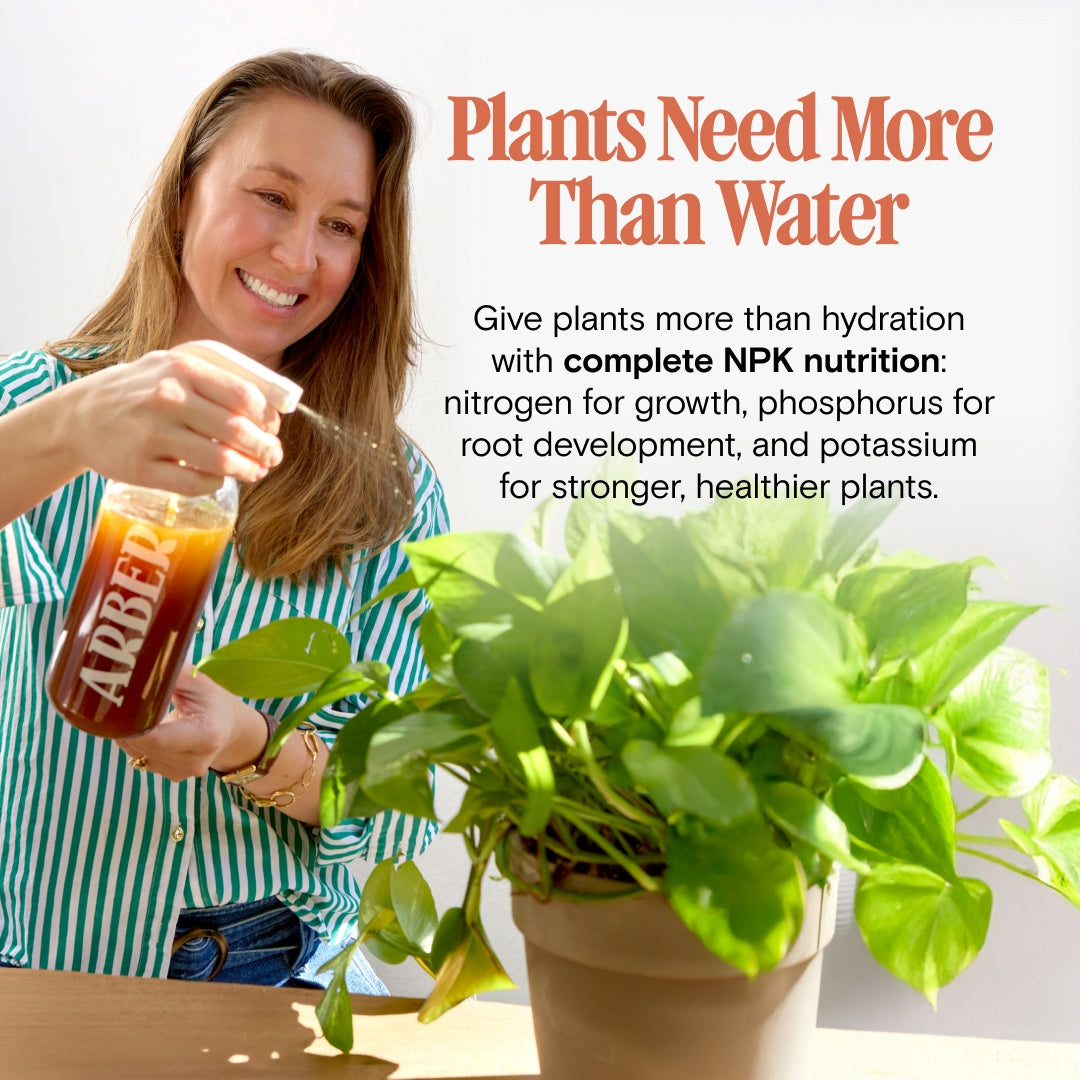 organic plant fertilizer Organic Plant Food