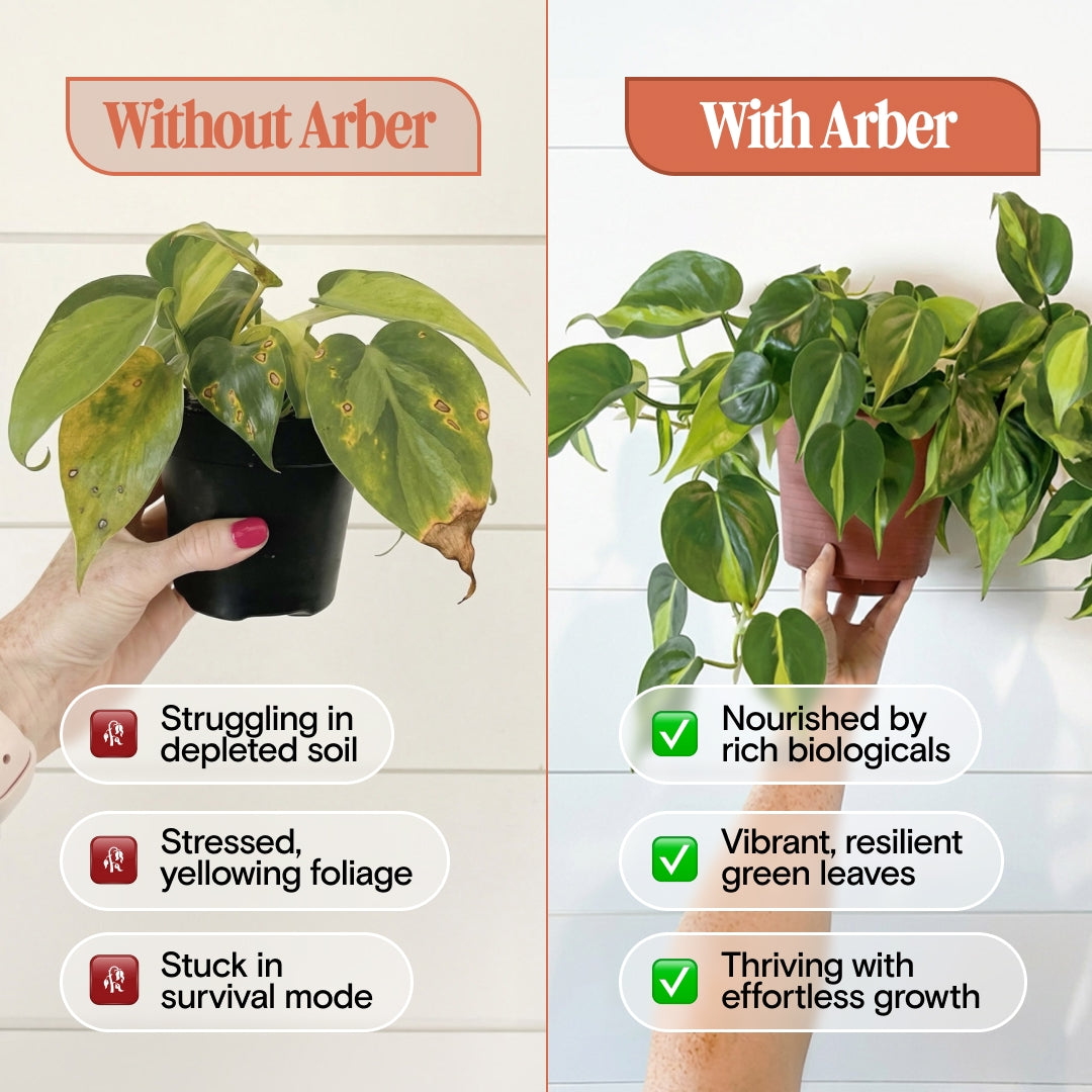 Pest Control Kit — Defeats Spider Mites, Aphids, Thrips & More