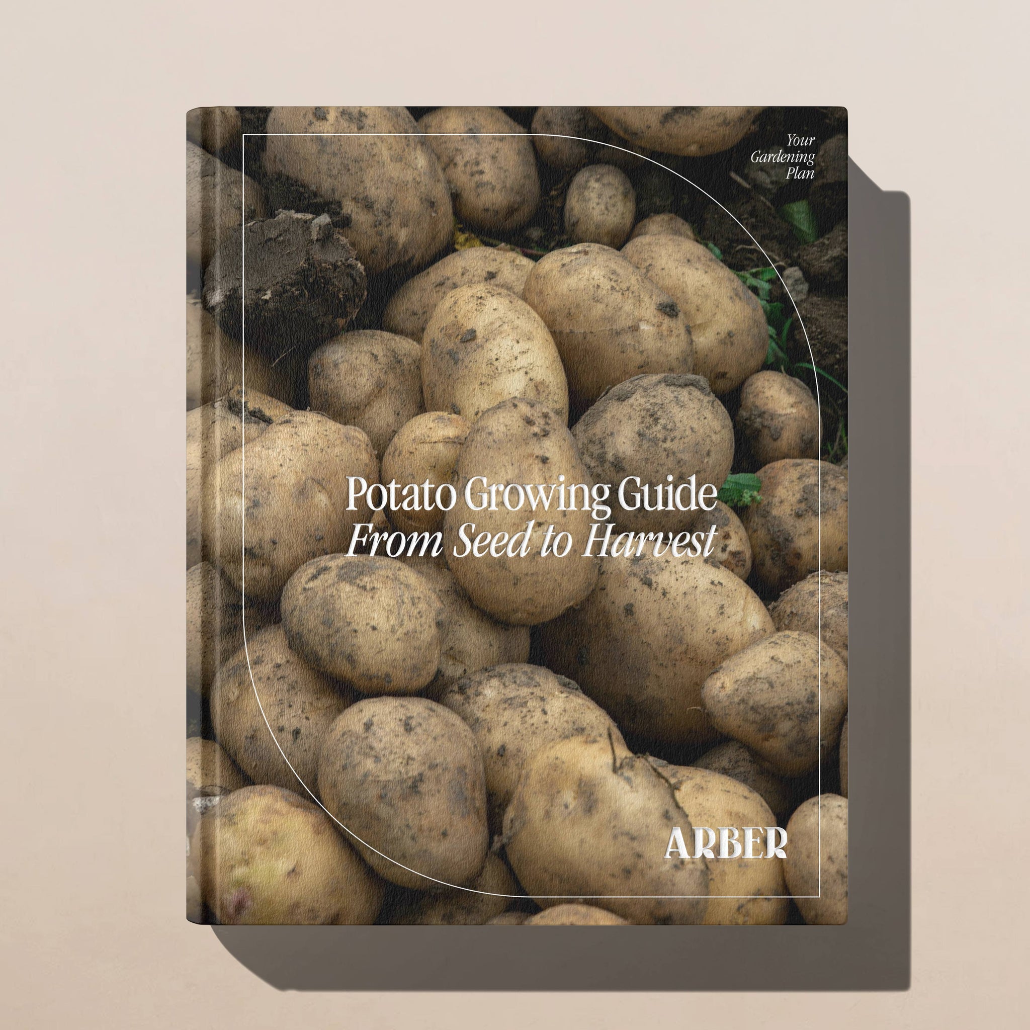seed potatoes planting guide The Potato Plant Care Guide