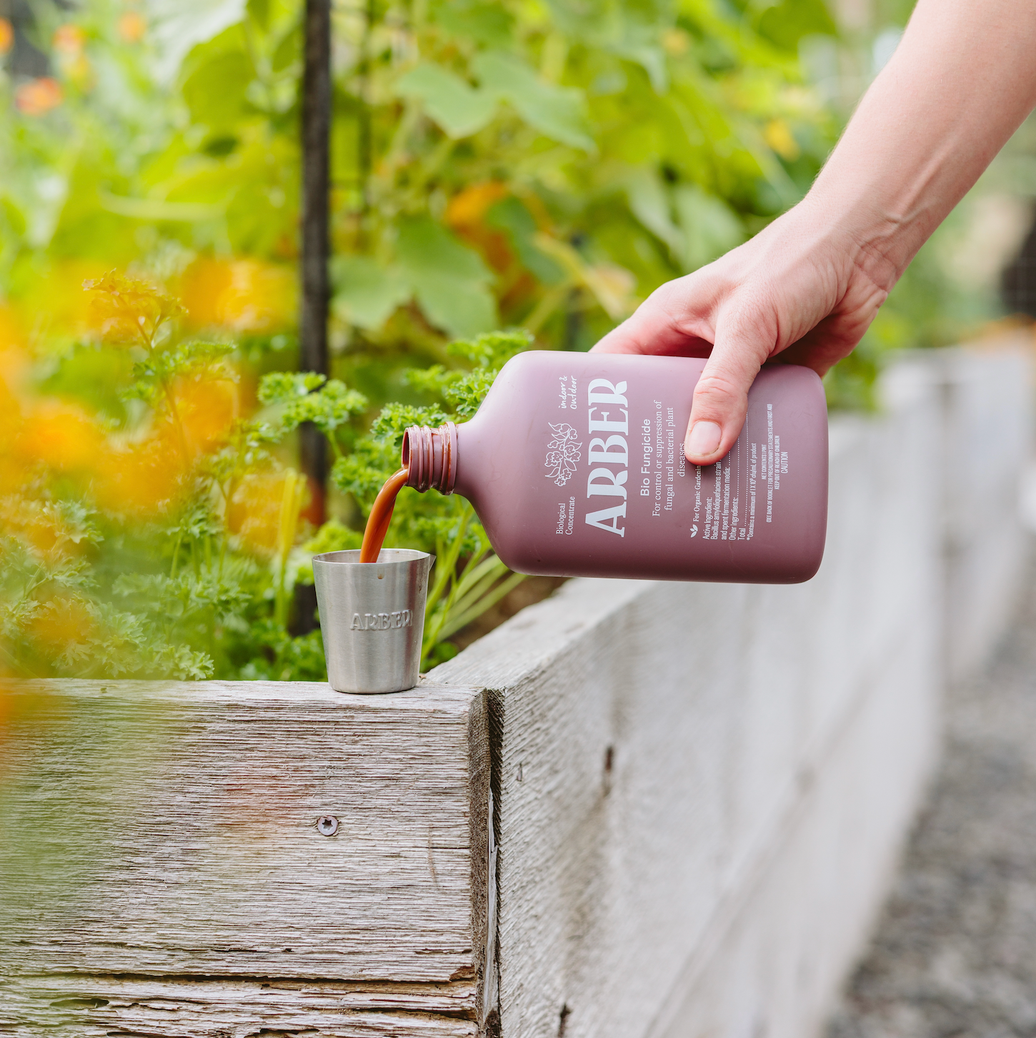 Powdery Mildew Treatment Kit