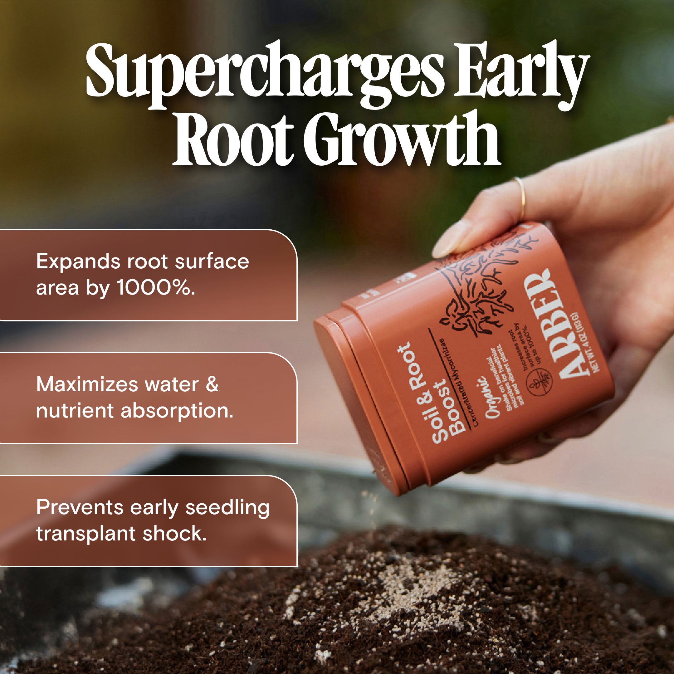 The Seed & Soil Foundation Kit