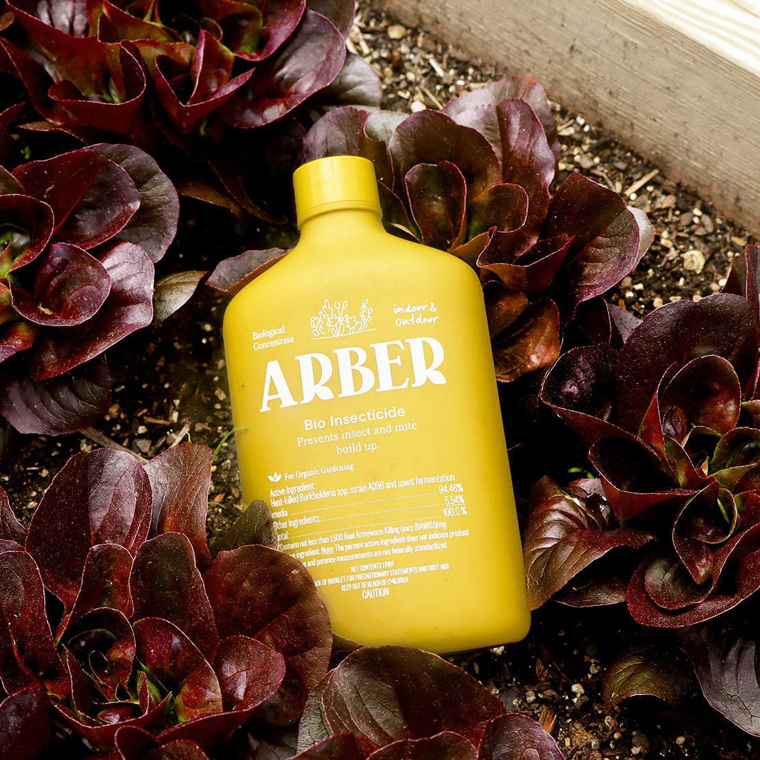 Organic Bio Insecticide – Arber
