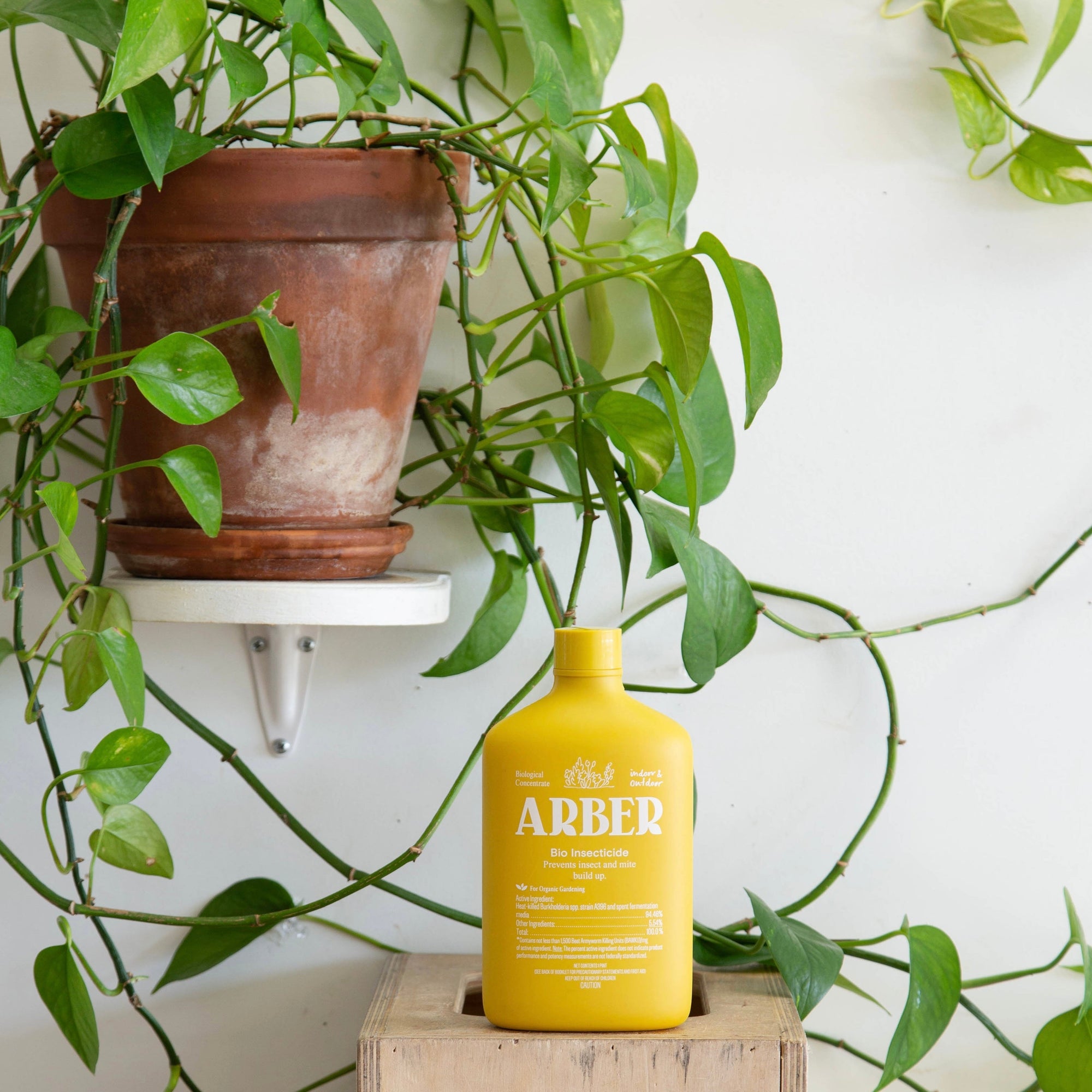 pesticide for fungus gnats indoor plants Fungus Gnat Fighter Bundle – Arber