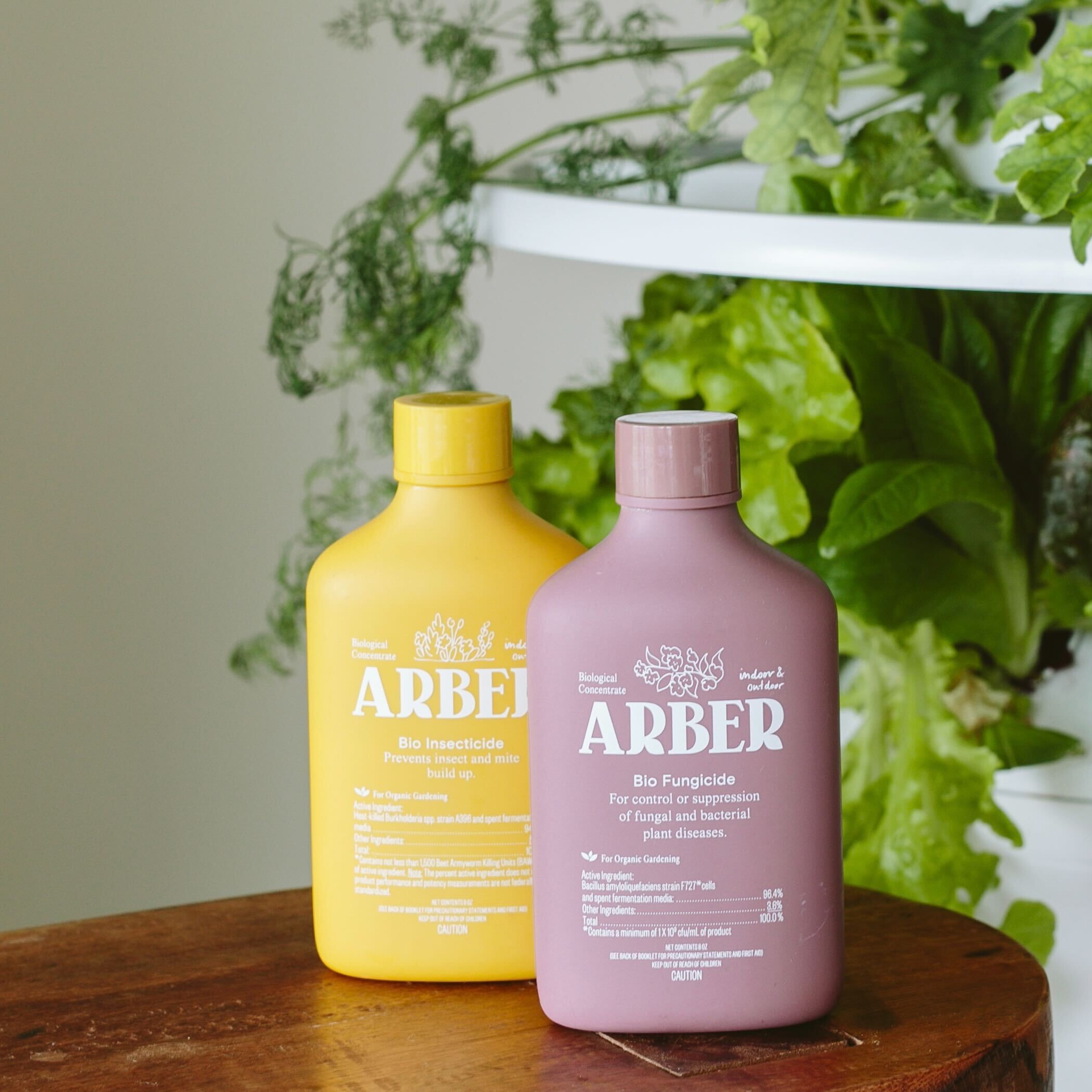 Houseplant Parent Bundle