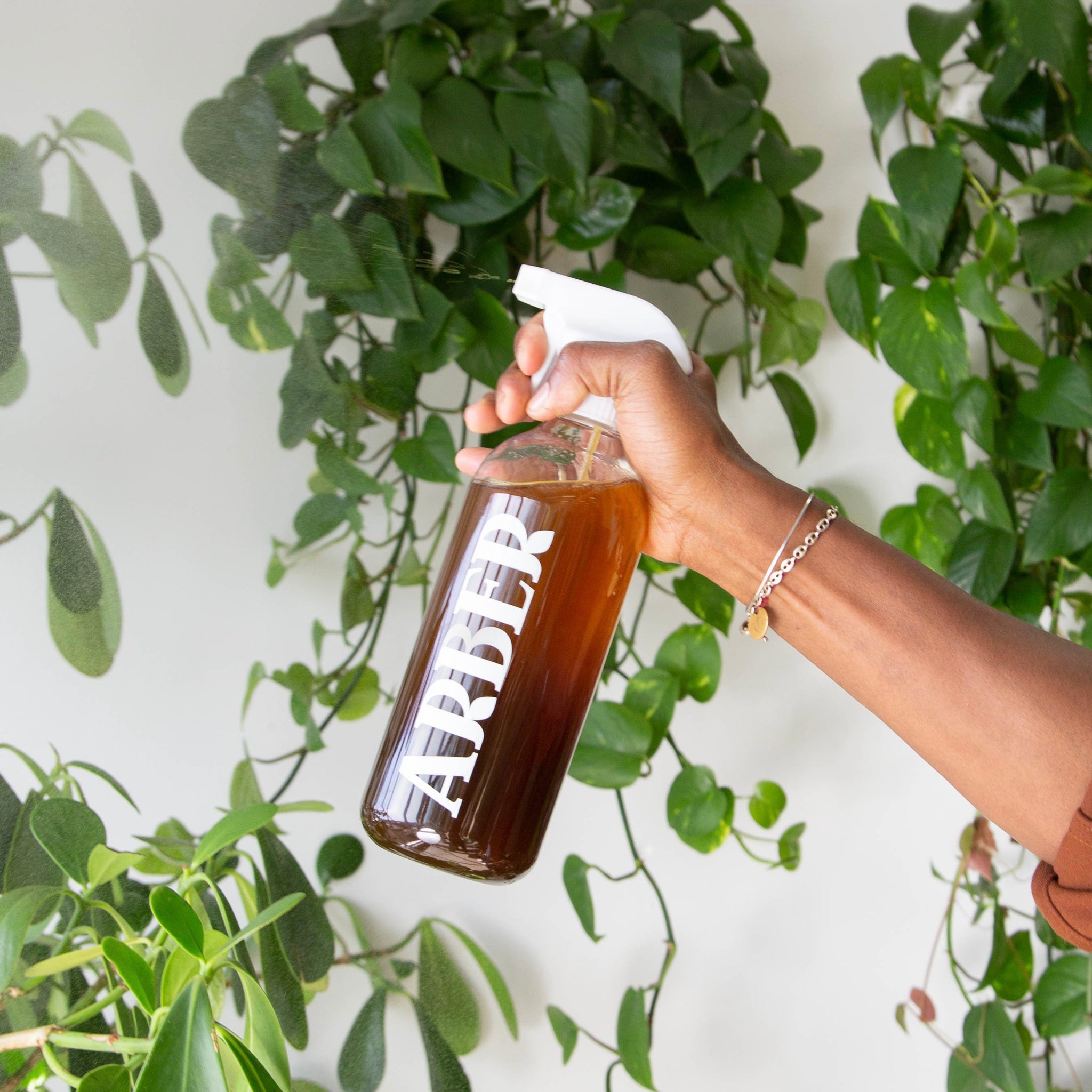 Houseplant Survival Kit