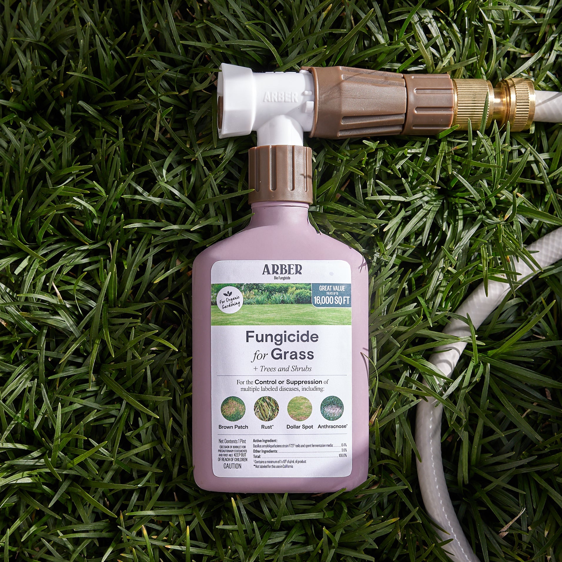 fungicide for rubber tree Organic Fungicide for Grass, Trees & Shrubs – Arber
