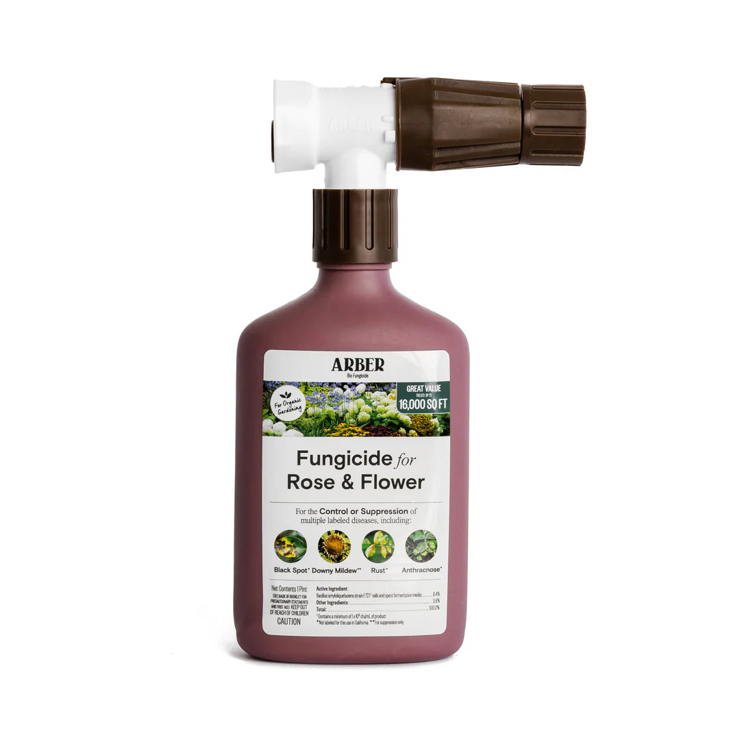 organic-fungicide-for-rose-flower-689578_1080x.jpg.webp__PID:11be5f59-698a-4426-84a1-034cea1bb4f7