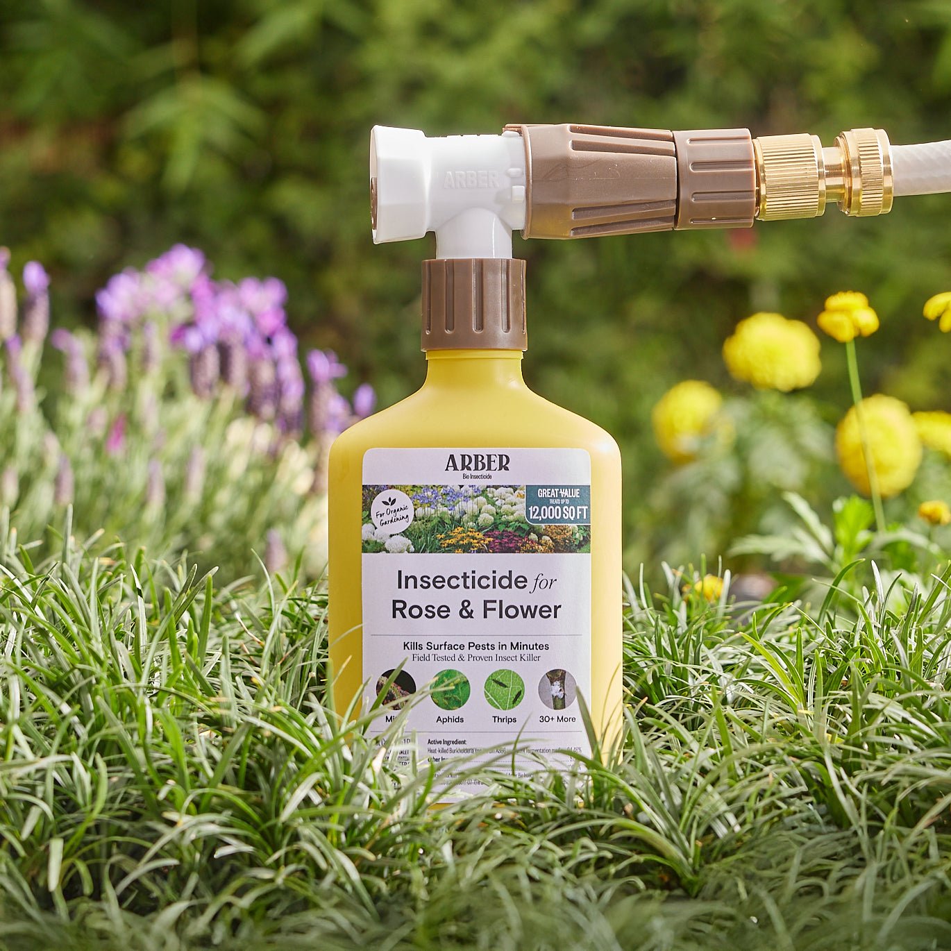 Organic Insecticide for Rose & Flower – Arber