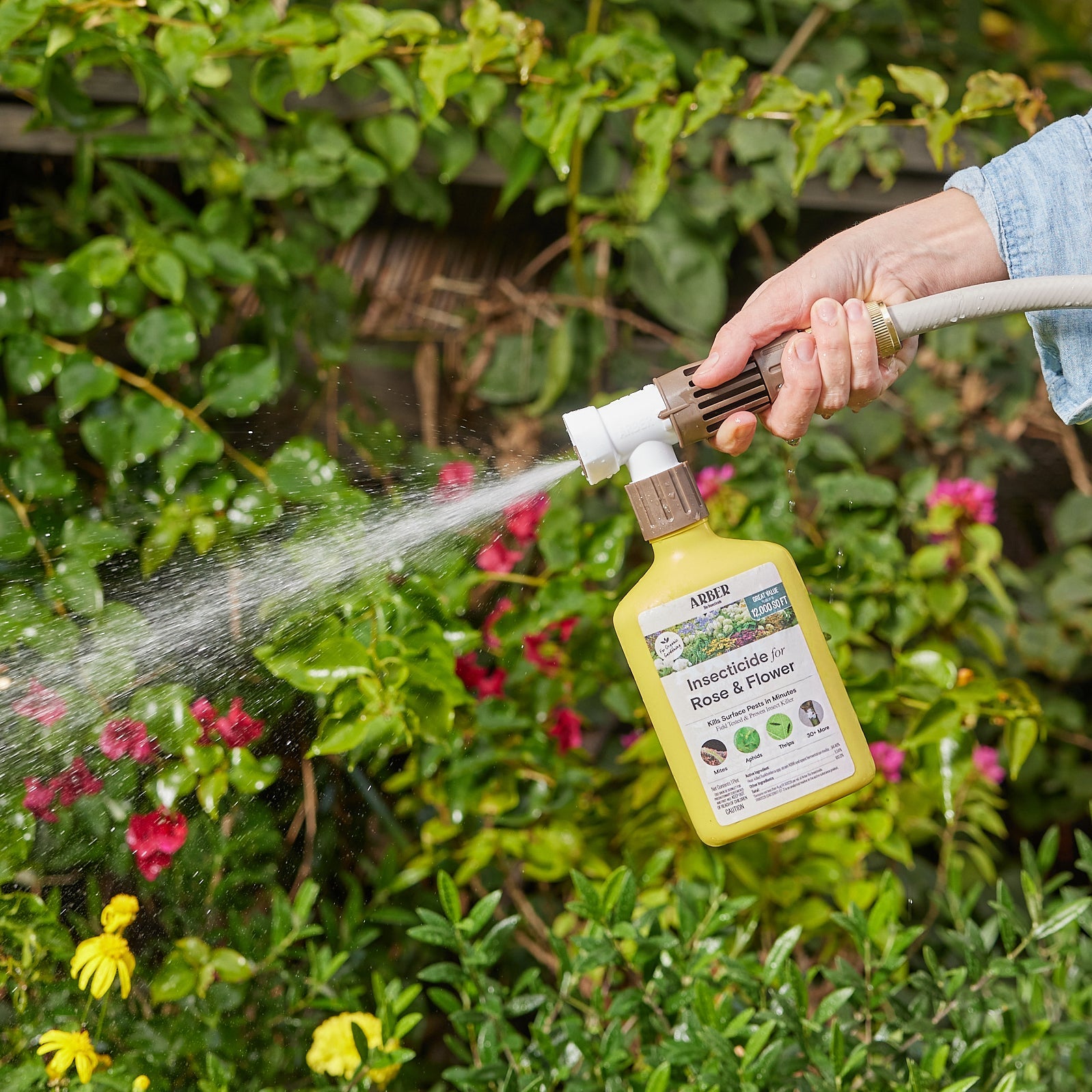 Organic Insecticide for Rose & Flower – Arber