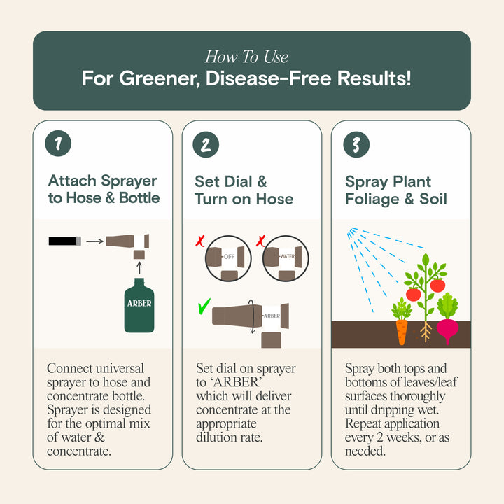 Organic Tomato, Fruit & Vegetable Boost - Arber