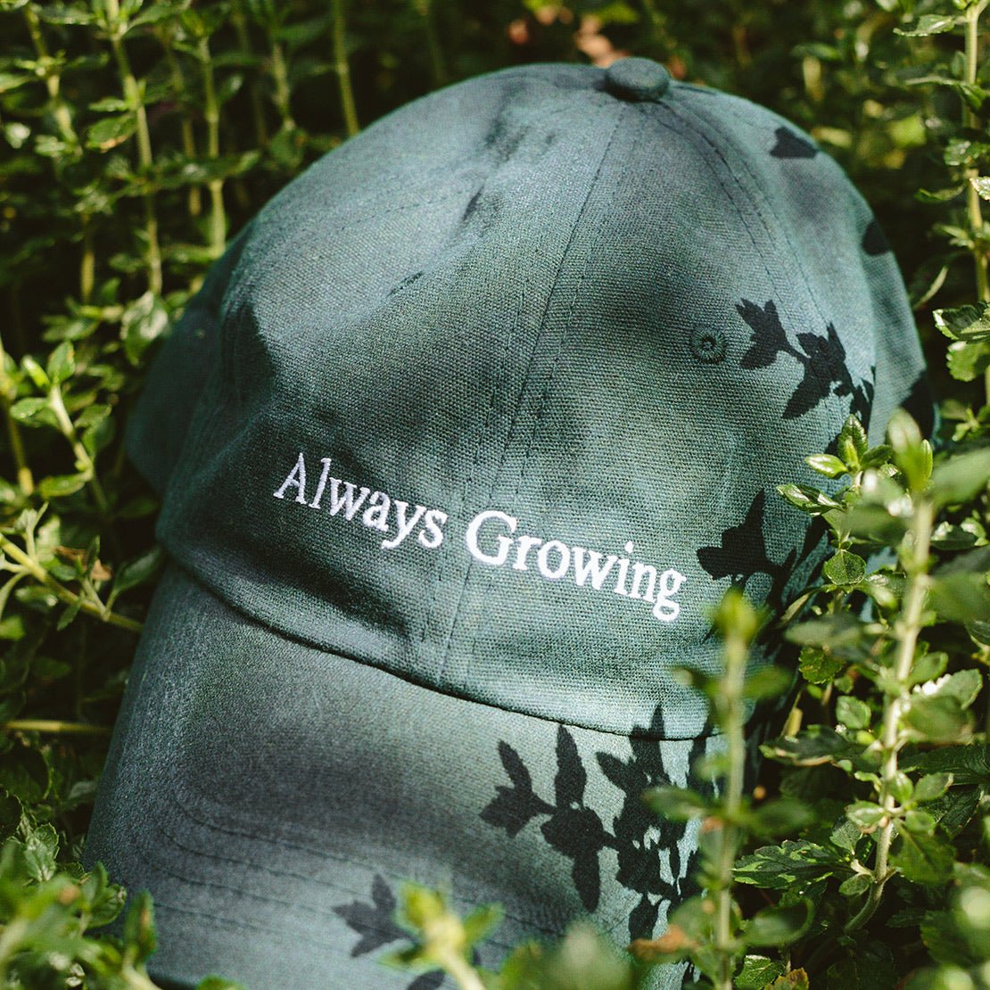 Always Growing Hat - Arber