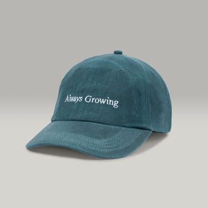 Always Growing Hat - Arber