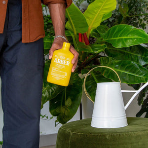 insecticide for potted plants Organic Bio Insecticide
