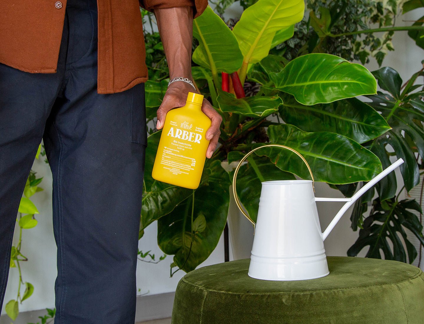 potted plant insecticide Organic Bio Insecticide