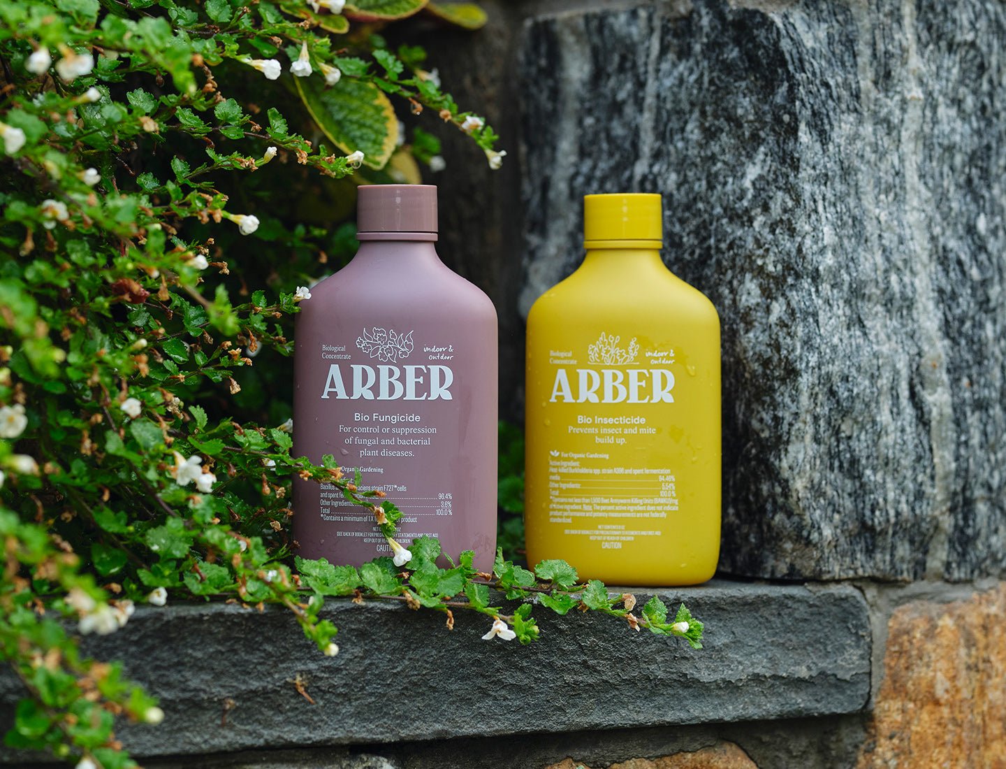 systemic fungicide for indoor plants Organic Disease & Insect Control Starter Set – Arber